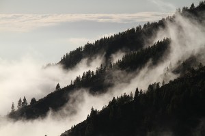 mountains in fog